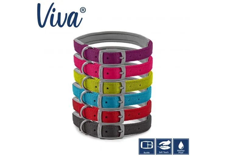 Ancol - Viva Nylon Padded Buckle Collar - Lime - Size 7 (50-59cm)