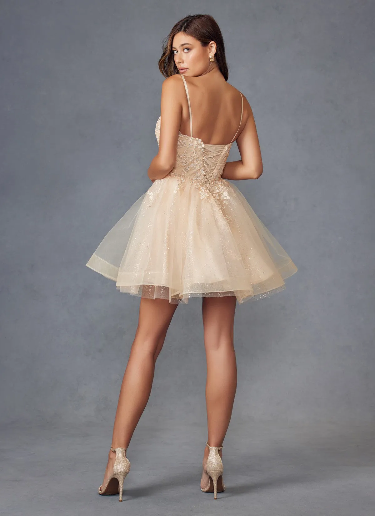 Babydoll Tulle Skirt Illusion Sweetheart Short Homecoming Dress