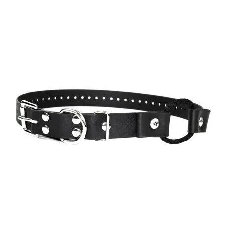 E-Collar Bungee Strap