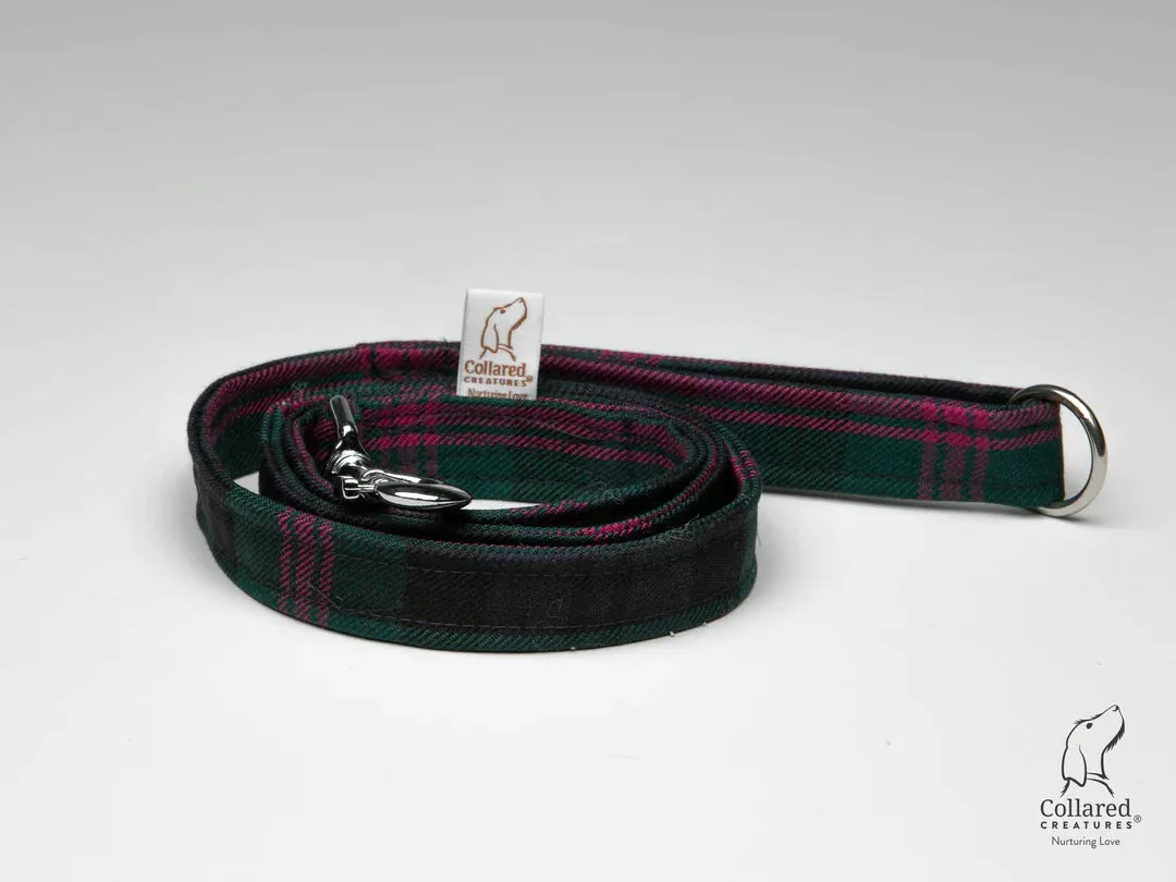 Harris Tweed Baird Modern Buckle Dog Collar