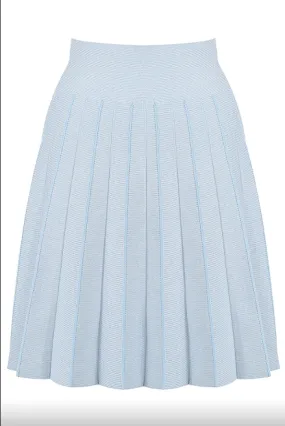 Kimberly - Pale Blue Pleated High Waisted Skirt