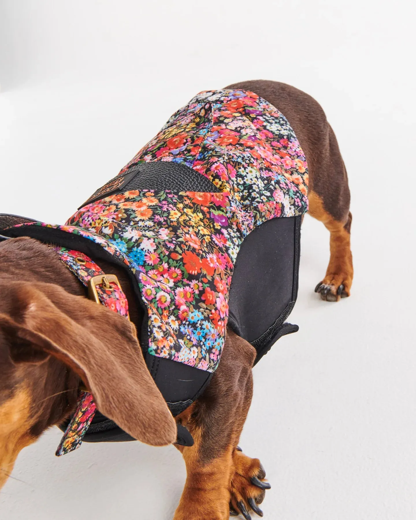 Kip & Co Forever Floral Black Dog Jacket