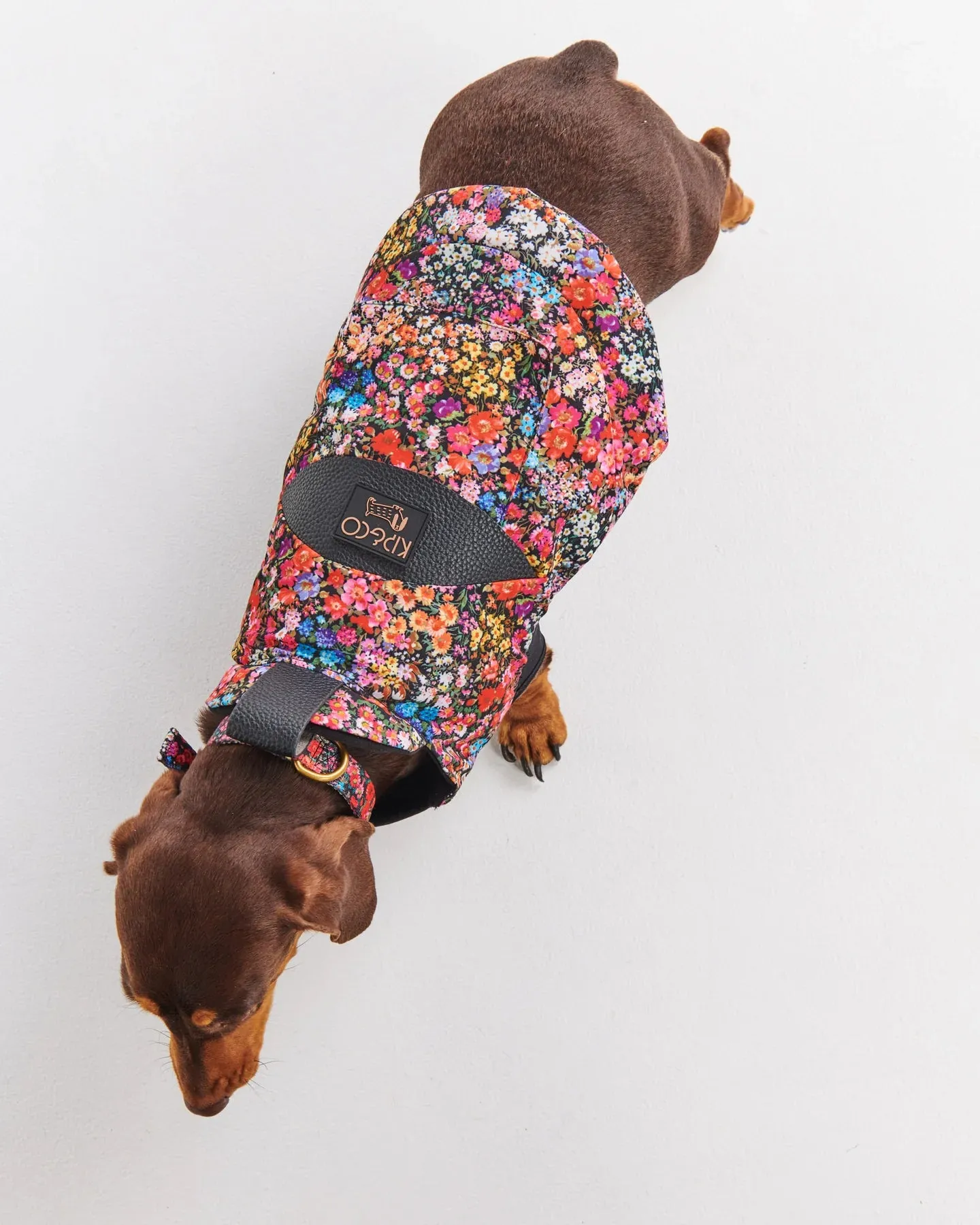 Kip & Co Forever Floral Black Dog Jacket