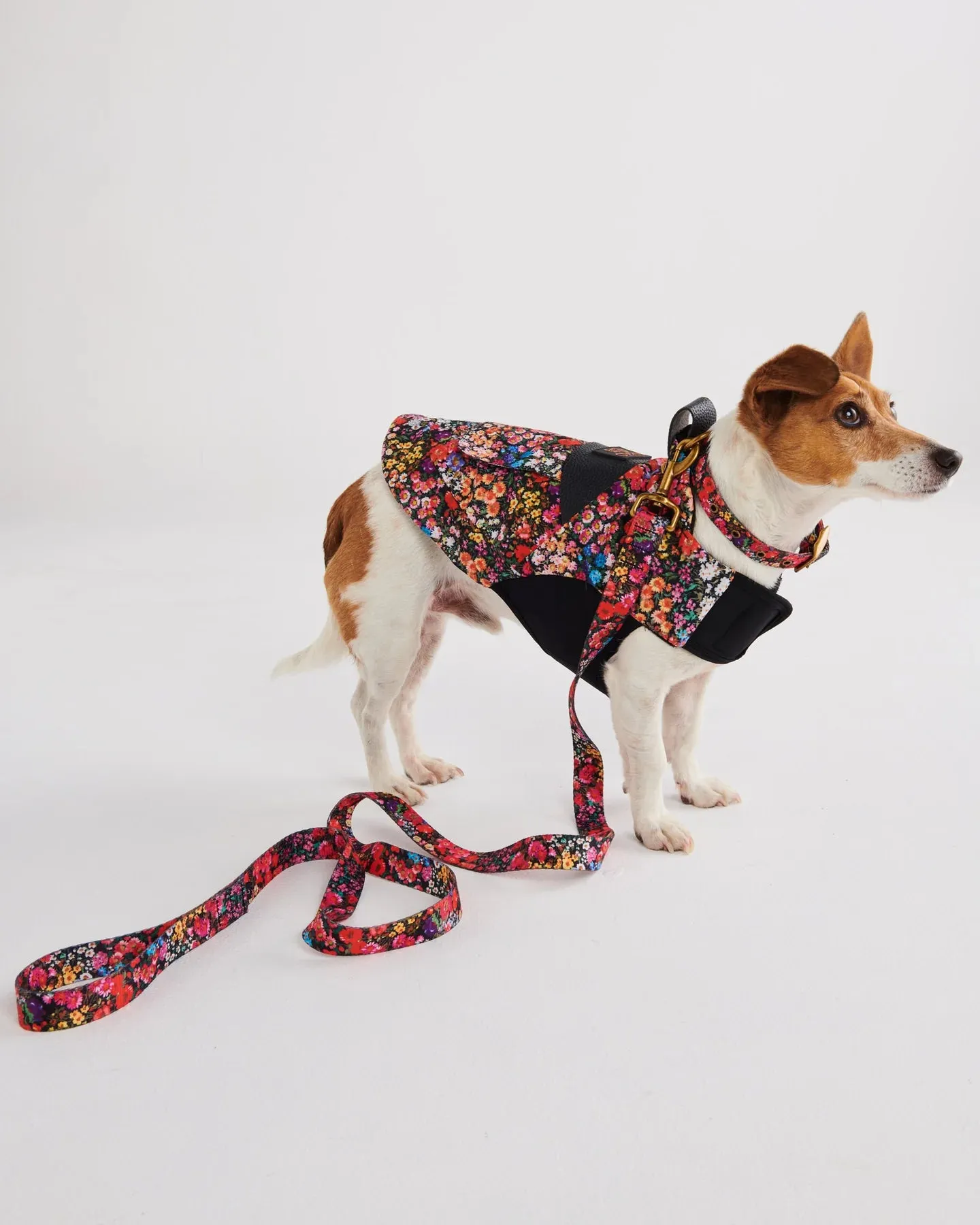 Kip & Co Forever Floral Black Dog Jacket