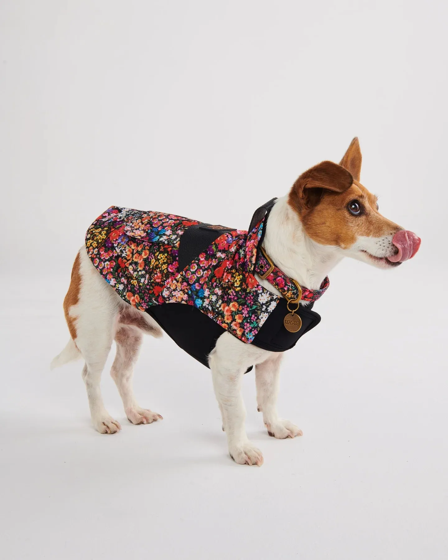 Kip & Co Forever Floral Black Dog Jacket