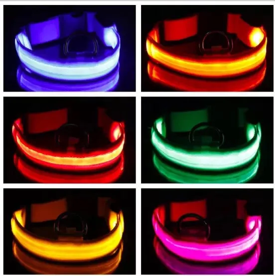 Led Battery Dog Collar Lights up