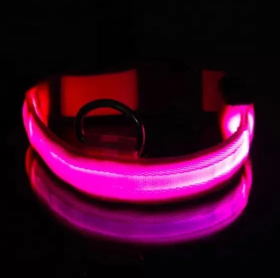 Led Battery Dog Collar Lights up