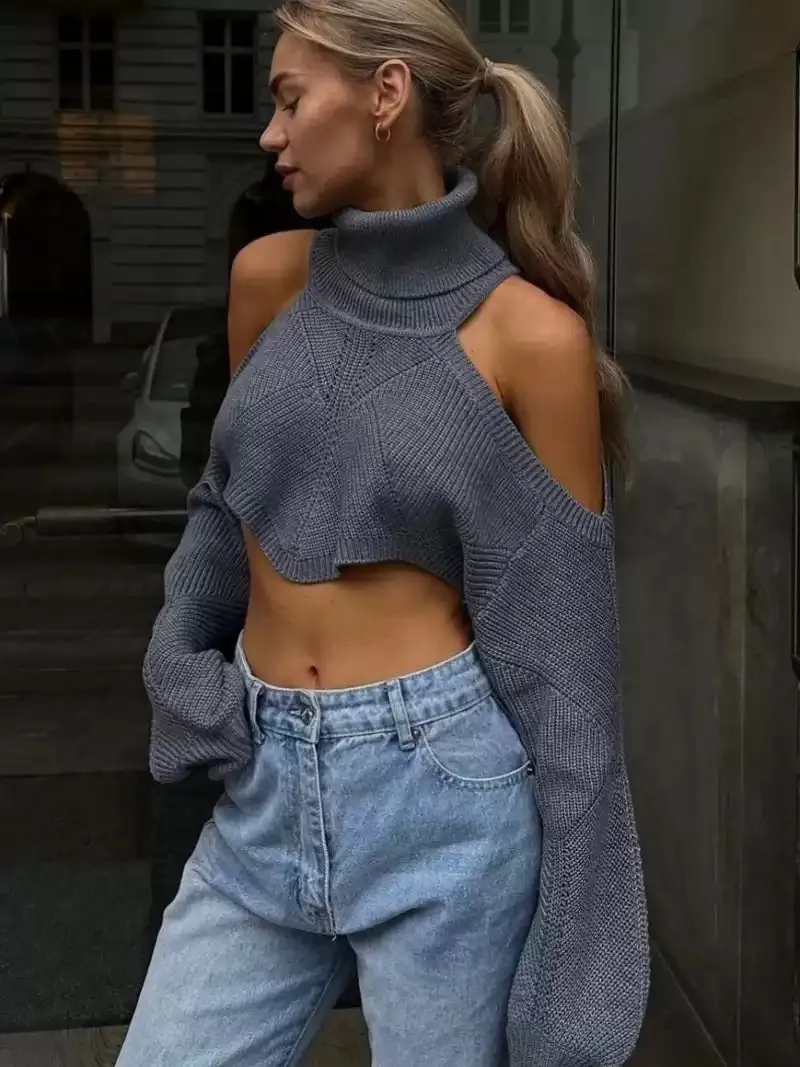 Seanna High Neck Crop Sweater