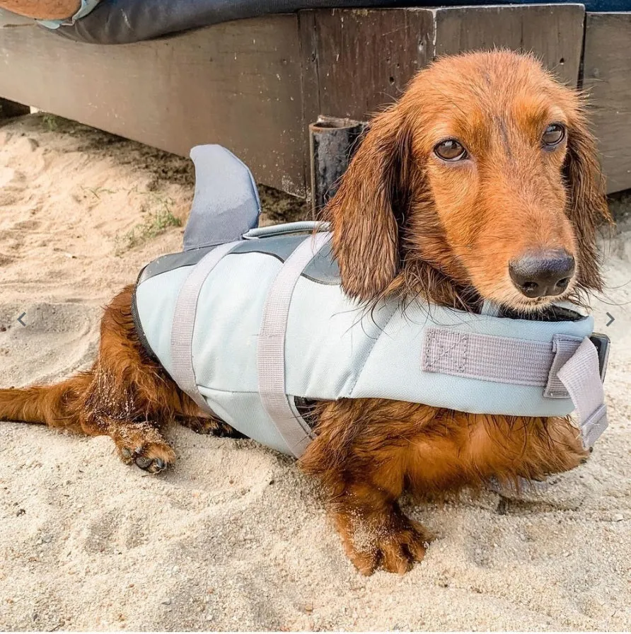 Shark & Mermaid Dog Life Jacket