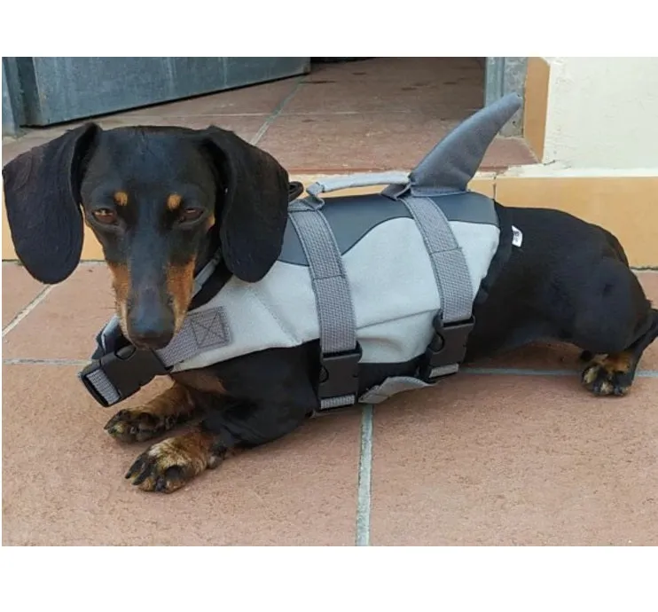 Shark & Mermaid Dog Life Jacket